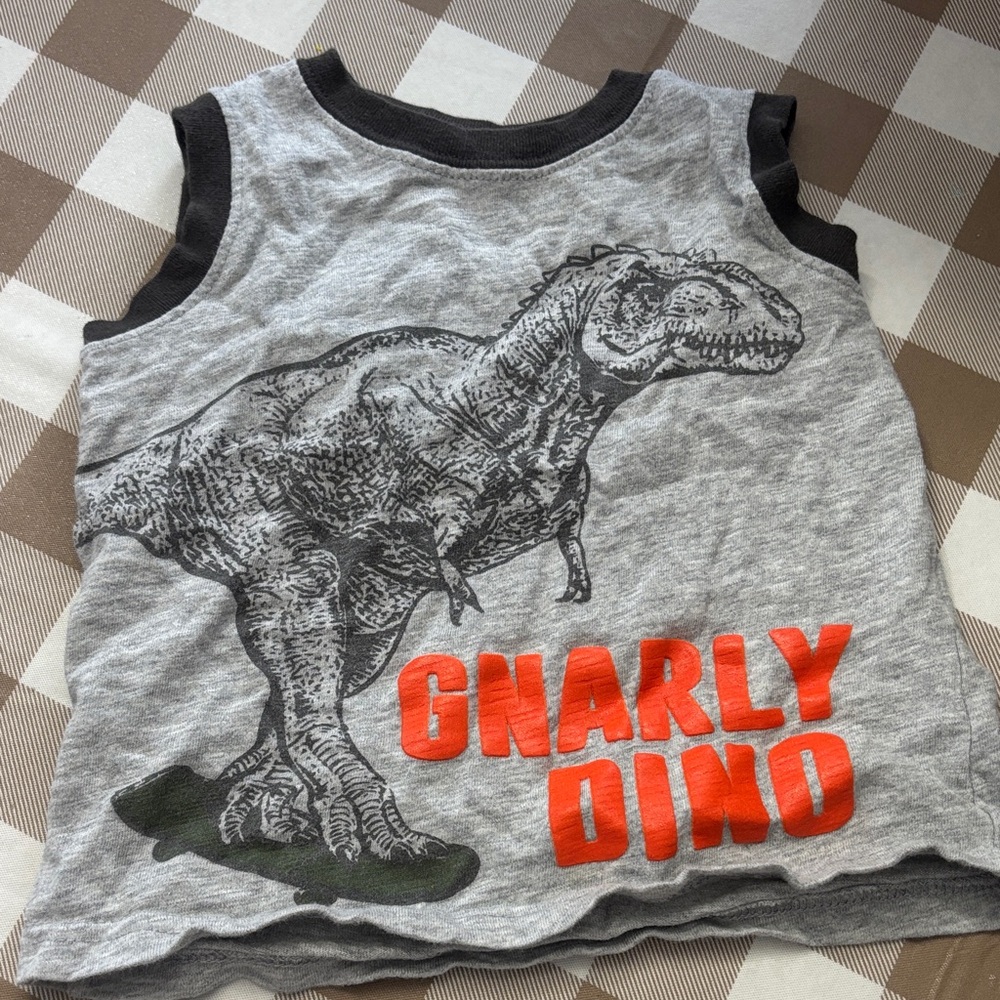 🟢10/$10 - Carter's Gray and Black Dino Tank Top